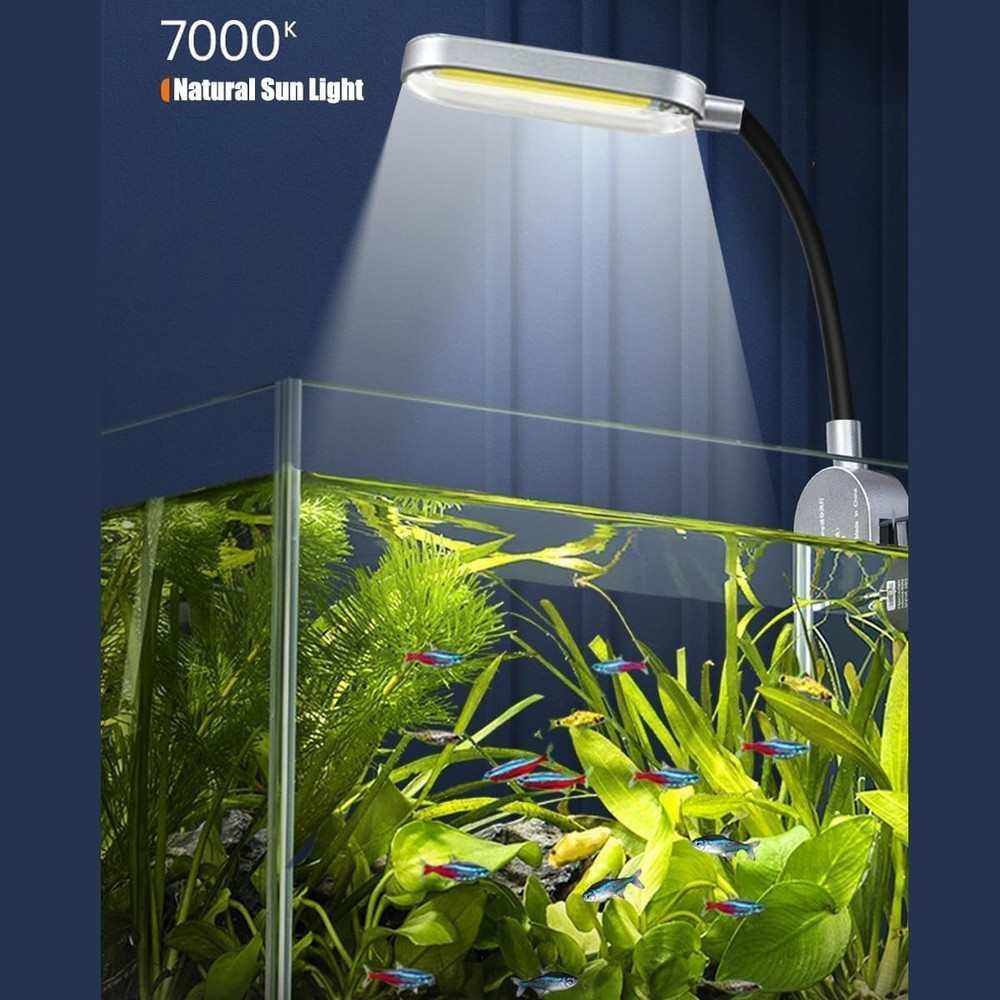 Complete 2.5 Gallon Desktop Aquarium Kit with Filter & LED Light - Modern Decor