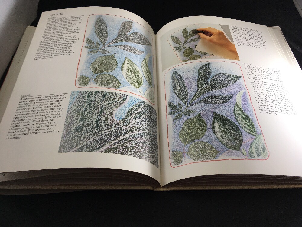 Color Drawing Workshop Project Book by Bet Borgenson Drawing Instruction Book