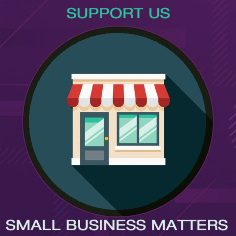 WIRELESS HANDHELD KARAOKE MICROPHONE HIFI SPEAKER SILVER DS868