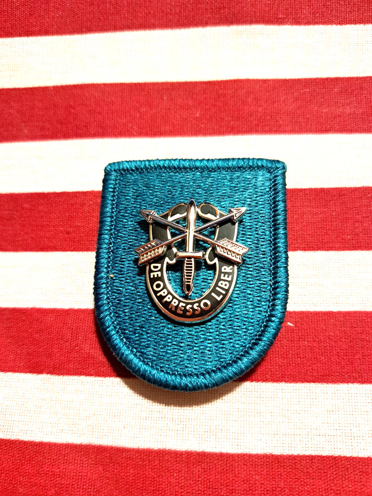 19TH SPECIAL FORCES GROUP BERET FLASH PATCH WITH CREST DUI HM G23
