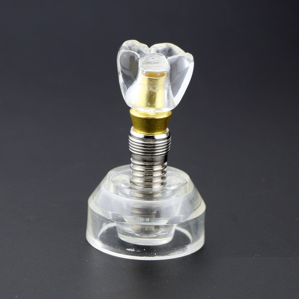 Dental Implant Model Demonstration Teeth Study Teaching Anatomical Model #2020