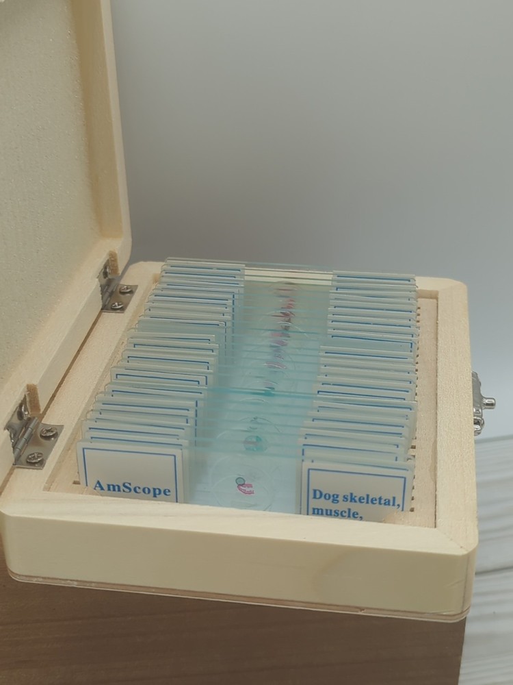 AmScope PS25 Prepared Microscope Slide Set for Basic Biological Science