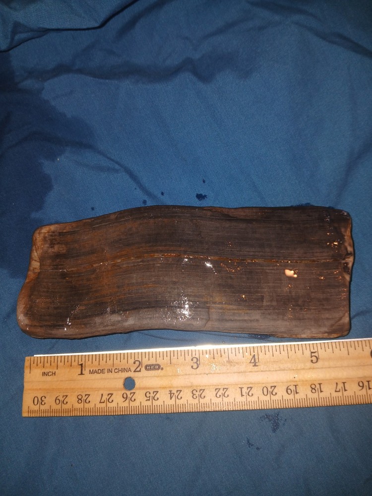 10 oz Petrified Wood