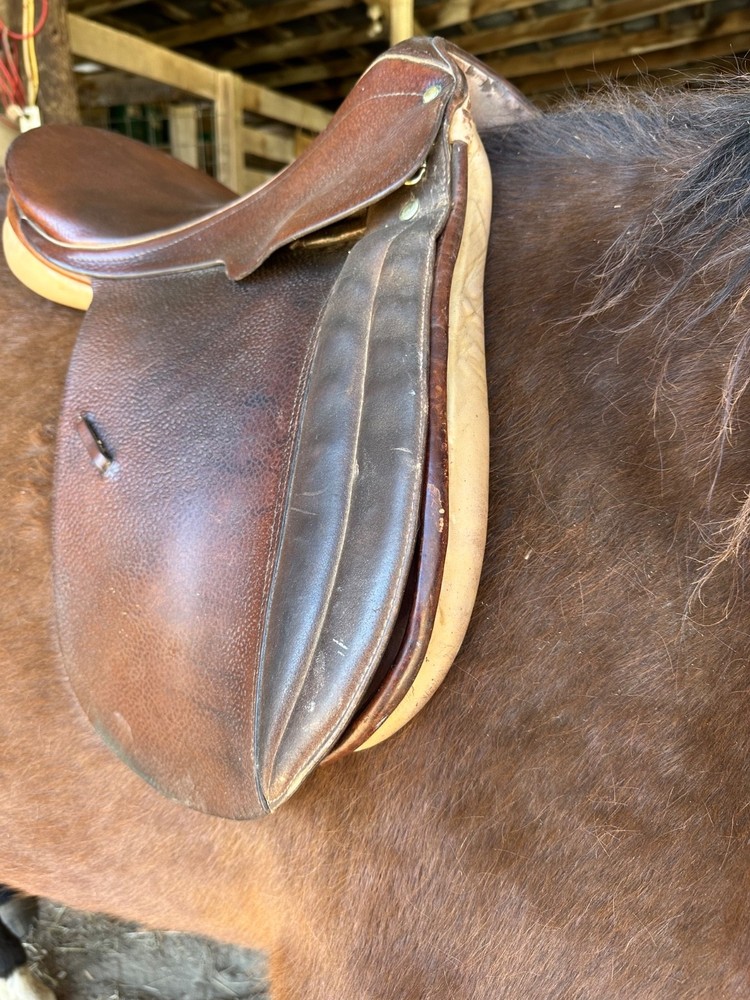 Whittaker 17 inch english saddle