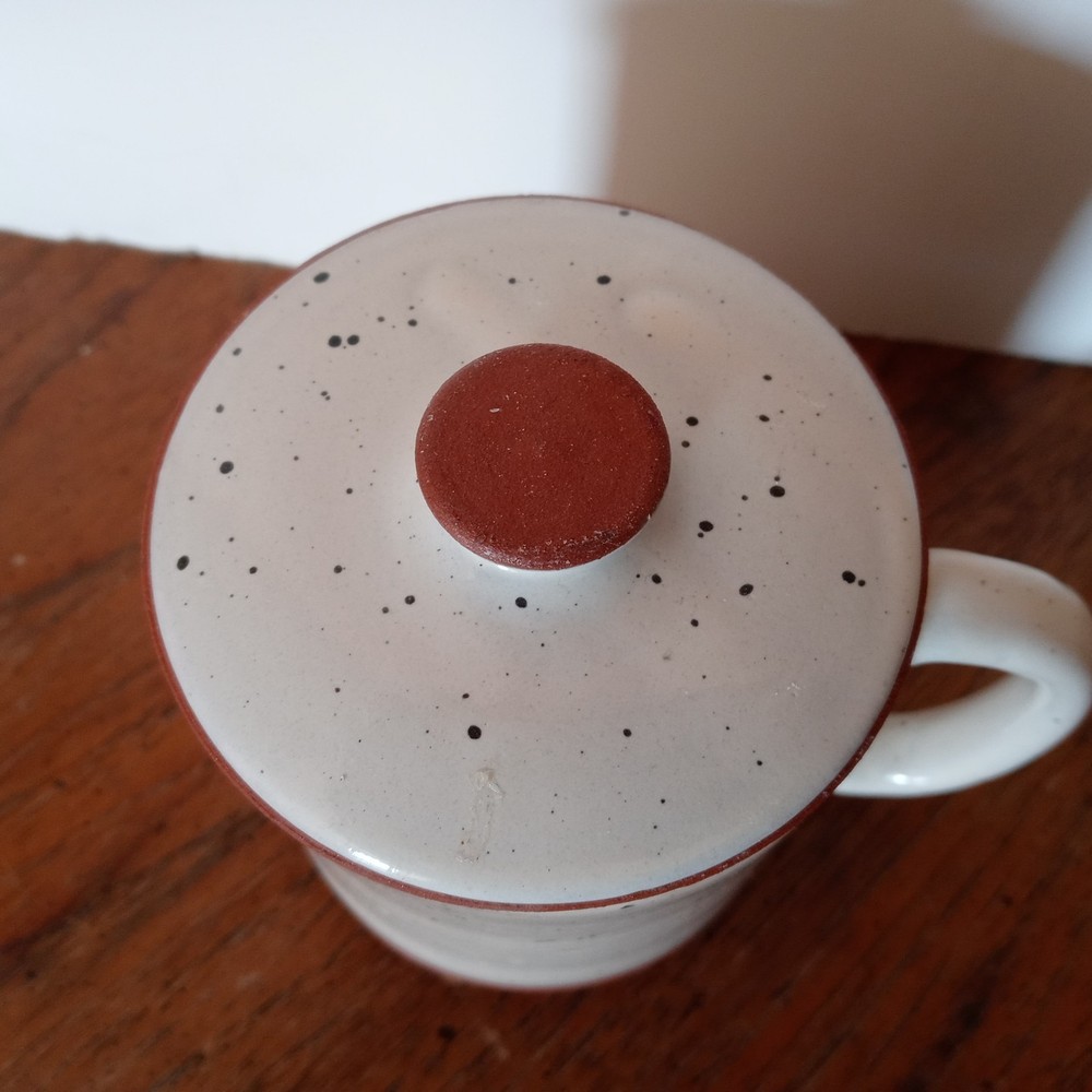 Beautiful Ceramic Tea Cup with Removable Infuser & Lid + Handle