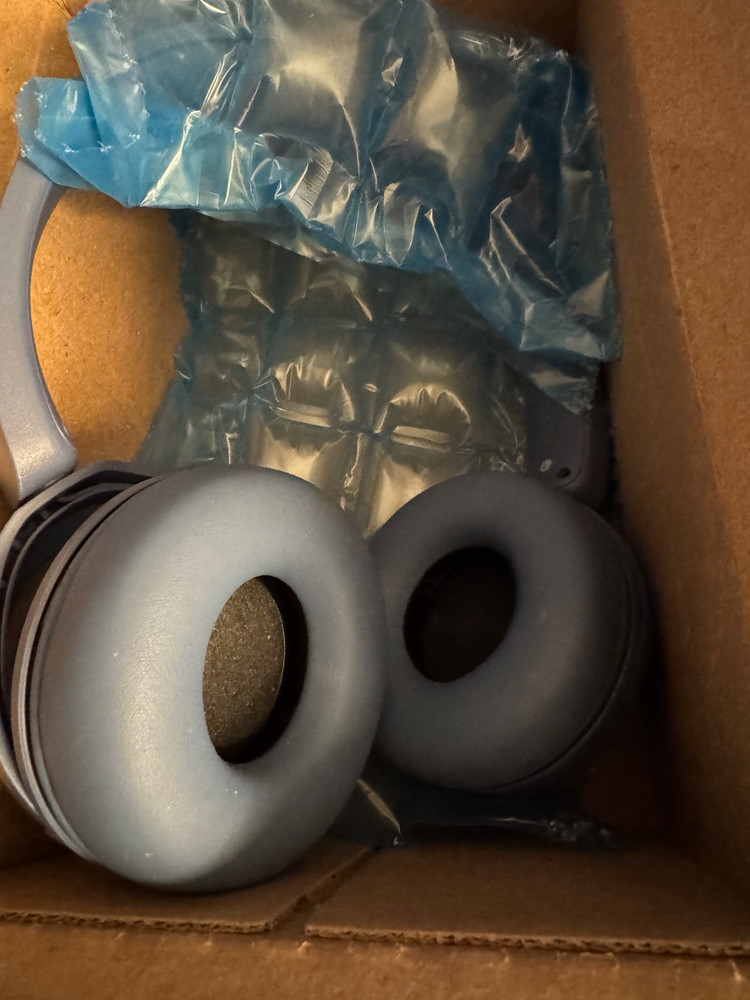 Ear Headset with Microphone, Blue Amazon's Choice