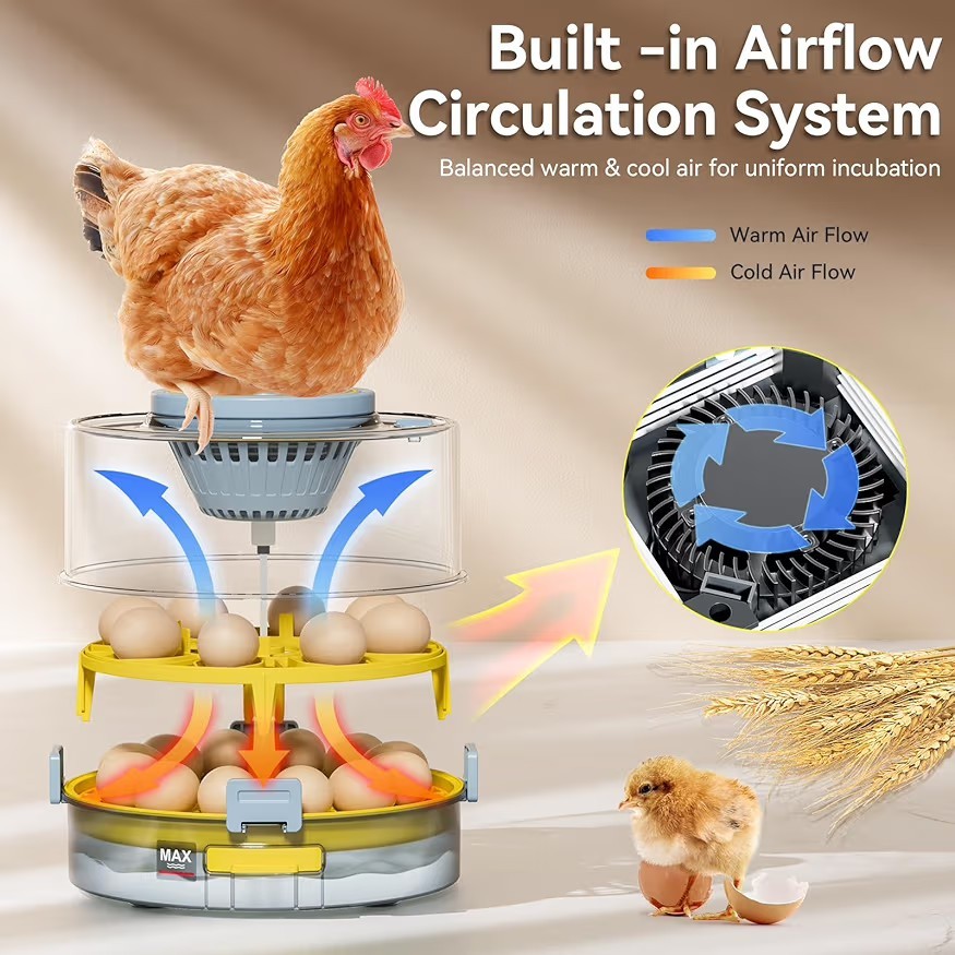 20 Egg Incubator with Auto Rotation, Temperature & Humidity Control