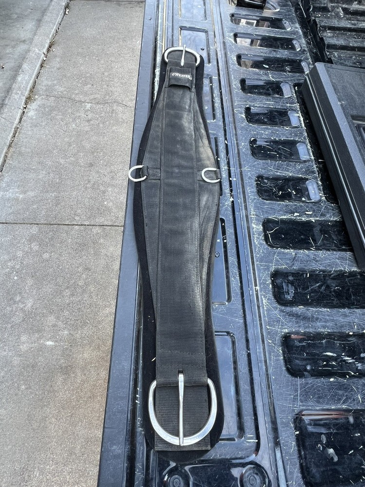 Weaver Cinch Size 36