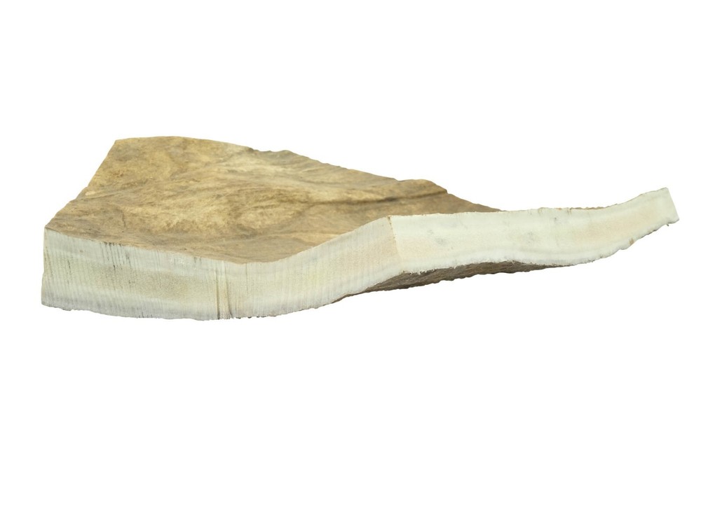 Moose Antler Palm (513-PC-G2460) Y1E