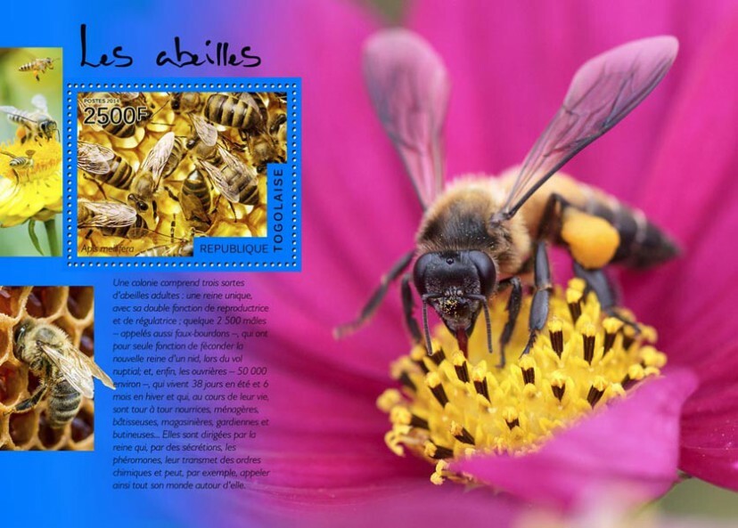 2014 TOGO MNH. BEES    |  Y&T Code: 881  |  Michel Code: 6110 / Bl.1042