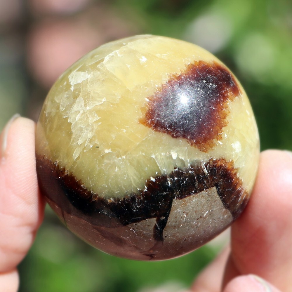 Polished Septarian Nodule (SEP45)