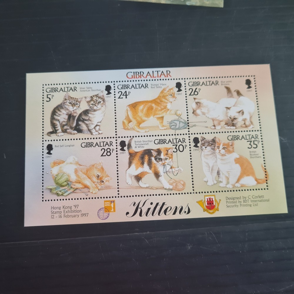 GIBRALTAR 1997 SG MS803 KITTENS MNH
