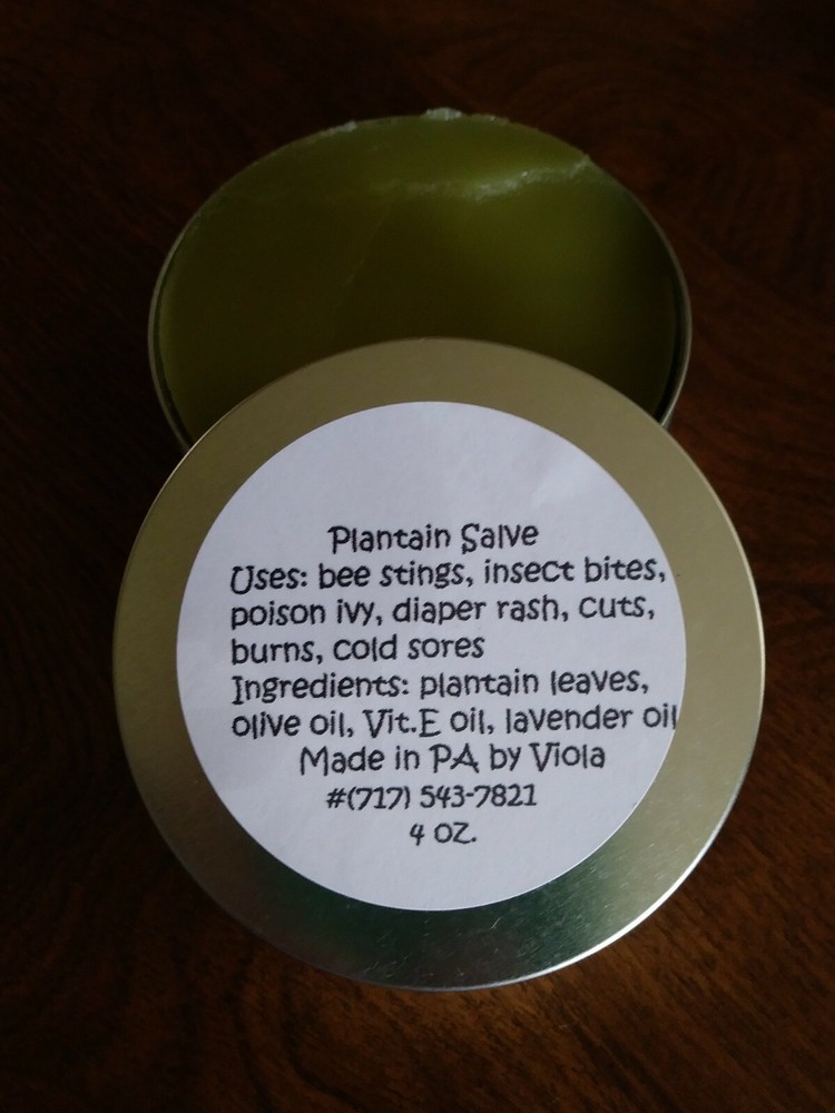 Plantain salve 4 oz.