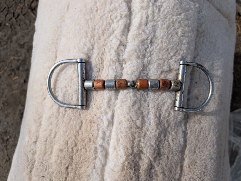 Copper Stainless Steel Segmented D Ring Snaffle with Rollers