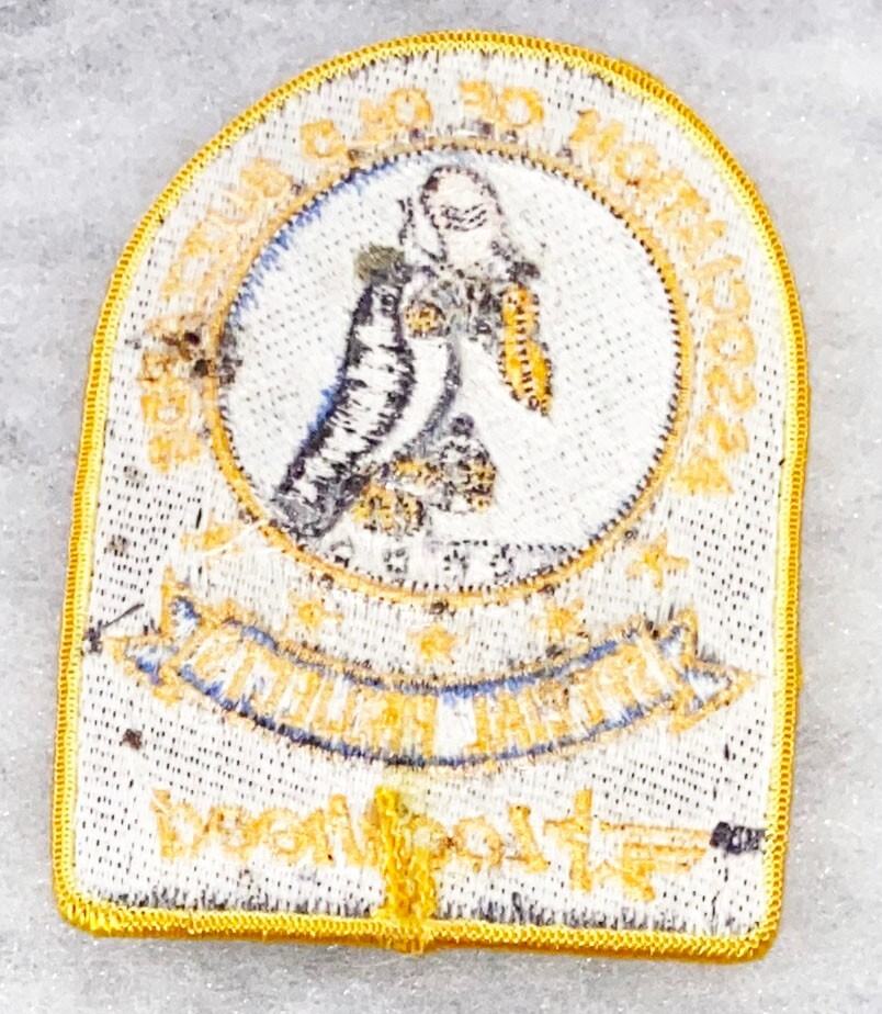 USN Navy Special Projects Assoc. Of Old Buzzards Lockheed Squadron Patch
