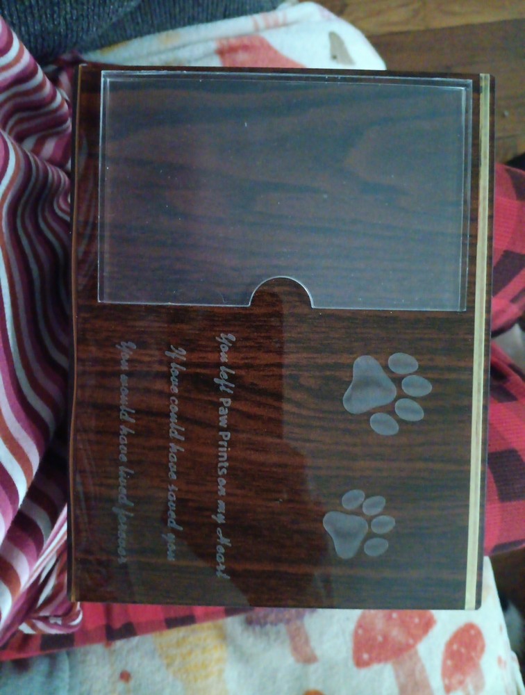 Pet Urn Box 8x6x6