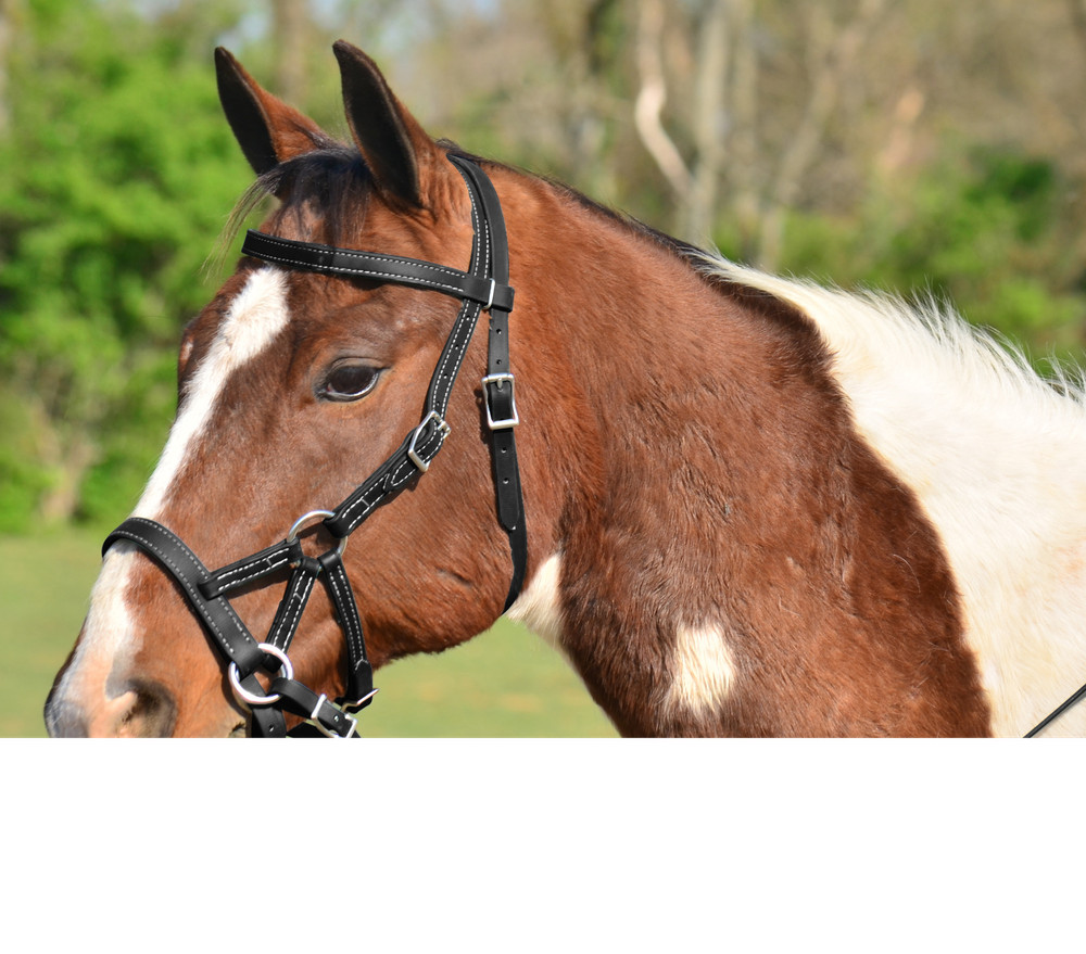 PONY SIZE Any Color SIDEPULL Bitless BRIDLE & REINS made w Beta Biothane