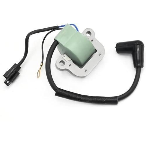 18-5196 Ignition Coil Assembly, Replacement for Outboard Motor 9.9HP 1974