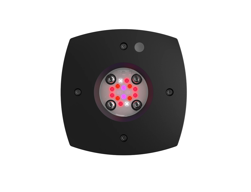 PRIME FUGE 16HD REFUGIUM LIGHT