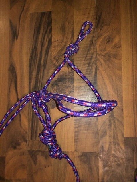 2 KNOTTED TRAINING HALTERS WITH LEAD LINES