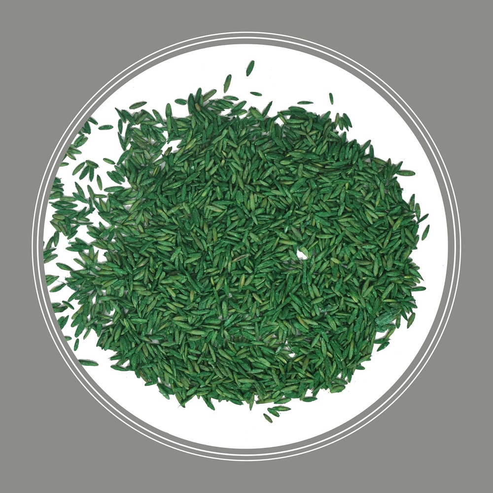 Contractors Grass Seed Mix Central 7 Lb