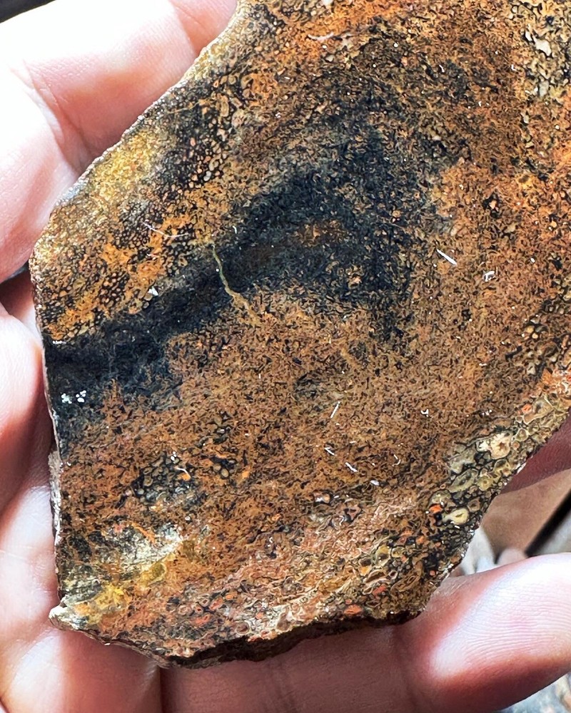 Dinosaur bone rough **hxtled slab.