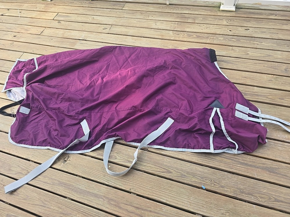 horse blanket
