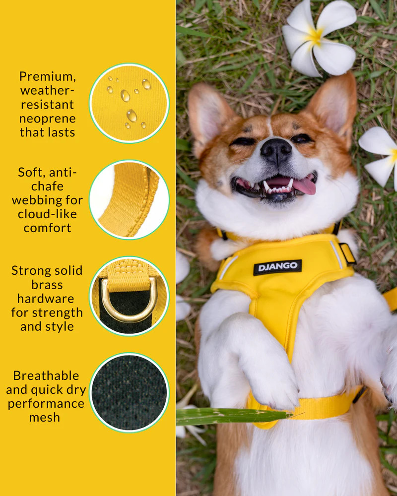 NWT Django Adventure Dog Harness - Dandelion Yellow
