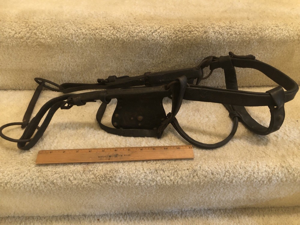 Horse Blinder Vintage