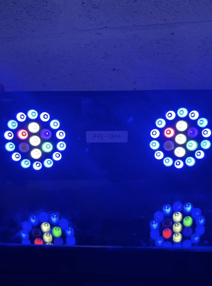 MicMol - Thor & X LED lighting (PRE-OWNED)