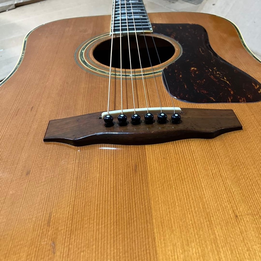 Mysterious Domestic Guild Model