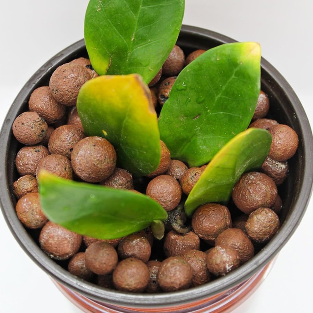 Organic Expanded Clay Pebbles for Hydroponic Growth & Drainage