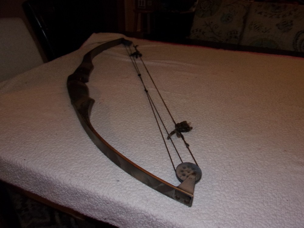 American Archery Wood Compound Bow