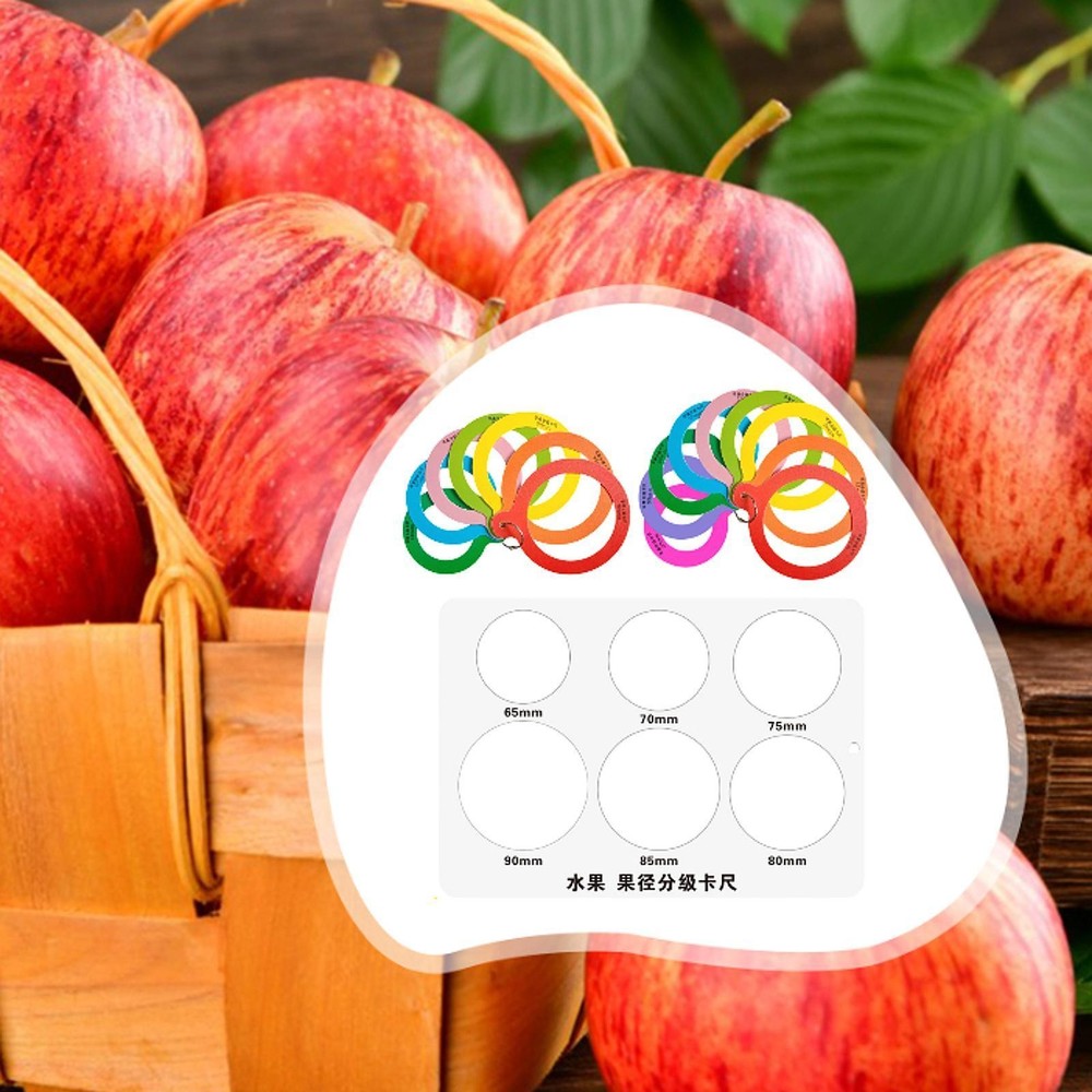 Fruit Caliper Measuring Ruler Grading Calipers