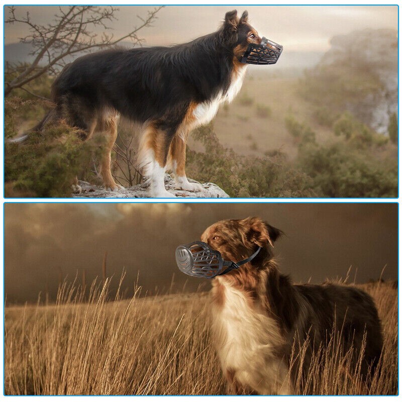 Dog Muzzle, Basket Muzzle for Biting, Chewing and Scavenging, Perfect Training