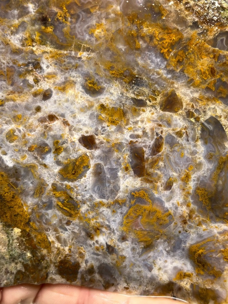 Mexican Cathedral Agate Slab Cabbing Lapidary Combo Ship Avail
