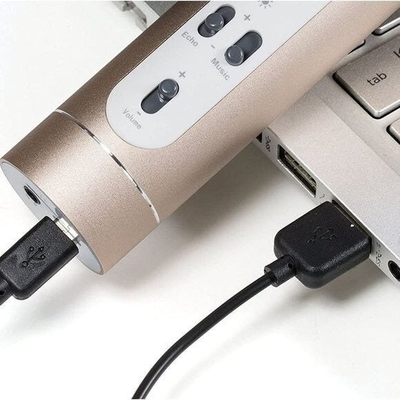 NWT Gold Mianova Karaoke Microphone