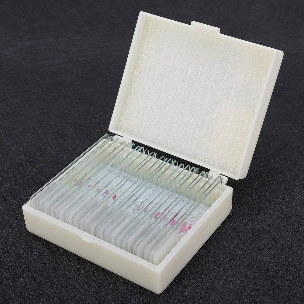 25Pcs Animal Slides Microscope Sample Slides For Science Education Popular