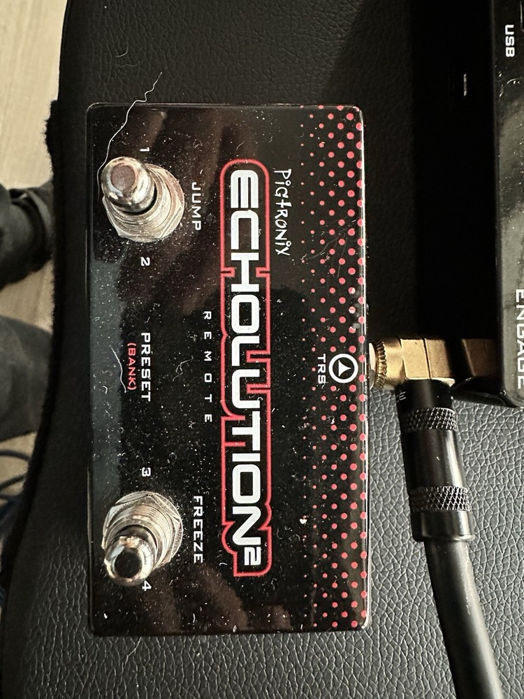 Pigtronix Echolution 2 Deluxe With Remote Switch