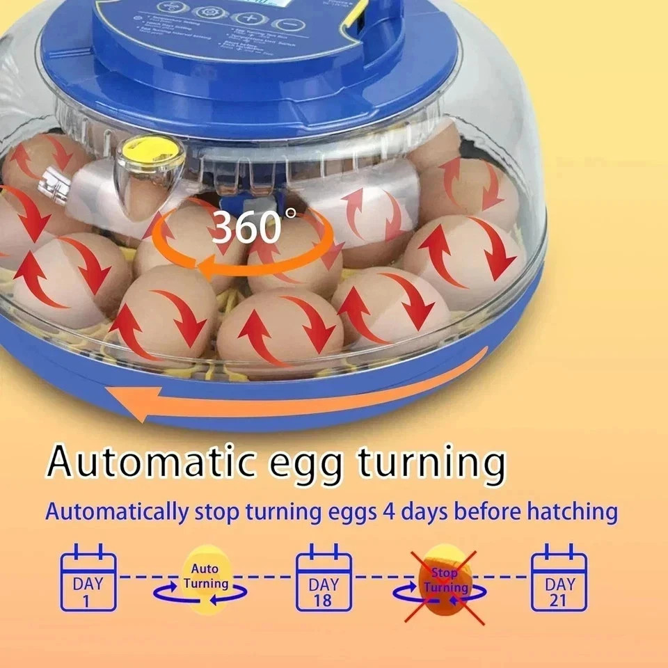 Incubators for Hatching Eggs,18 Egg Incubator with Automatic Egg Turning and ...