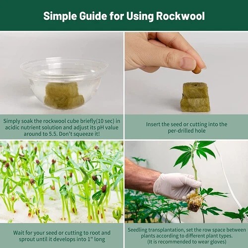 NEW Rockwool Cubes 1"x1" 100pcs Hydroponic Seed Starter for Herbs & Plants