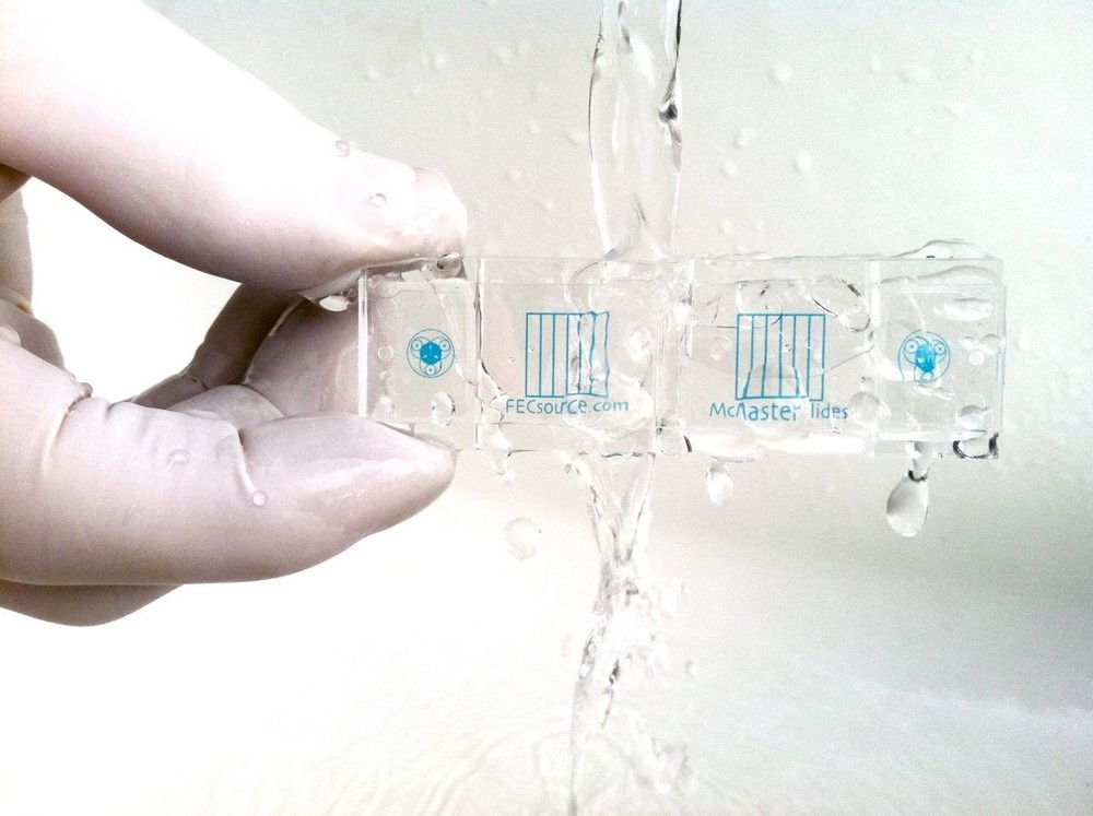 Fecal Egg Count Reduction Kit - McMaster Method with Complete Lab Supplies