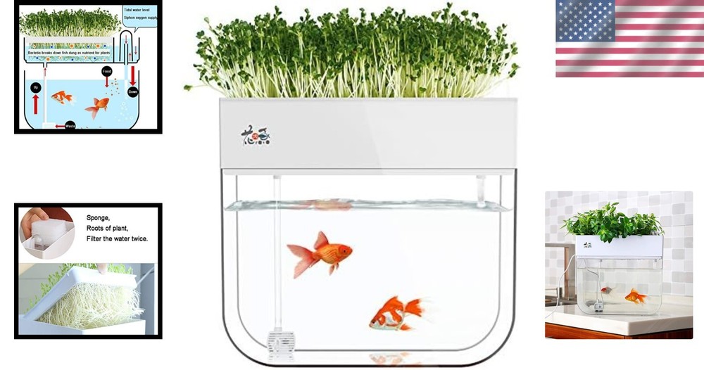 Aquaponic Fish Tank & Seed Sprouter System
