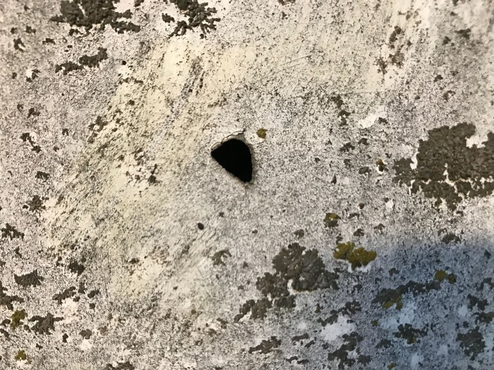 Kenworth K100 FIBERGLASS CAB Panel
