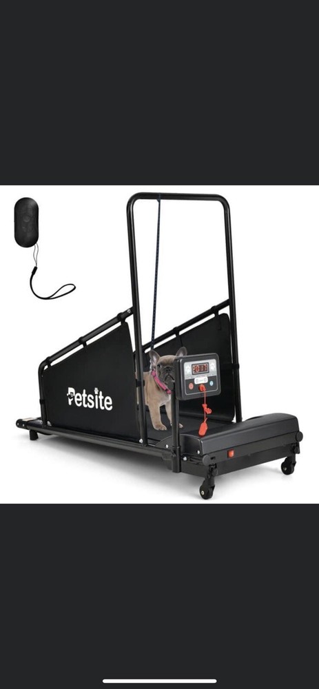 dog exercise equipment