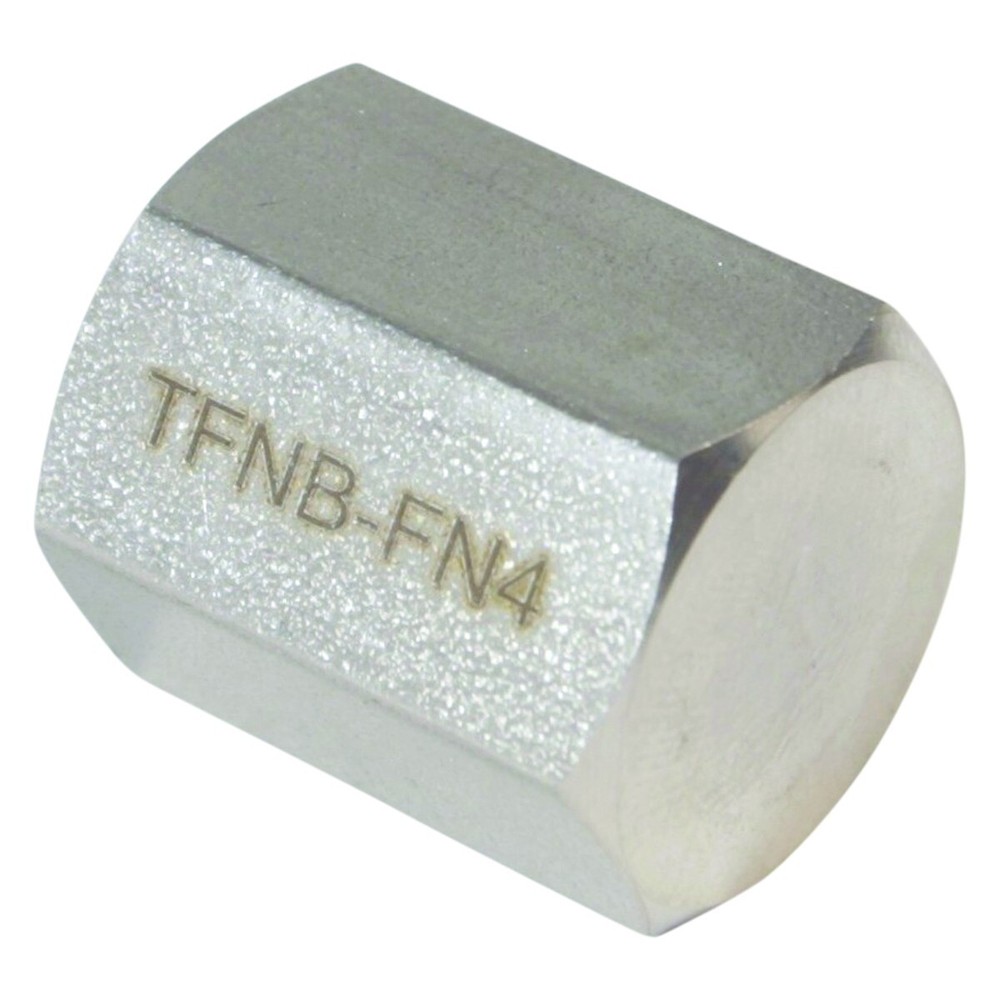Threaded NPT Cap | FNPT 1/4 inch - SS316 (2 Pack)