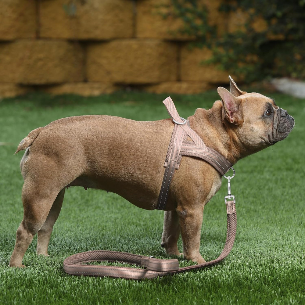 No Pull Dog Harness with Breathable Mesh Padded, Adjustable Reflective Escape Pr