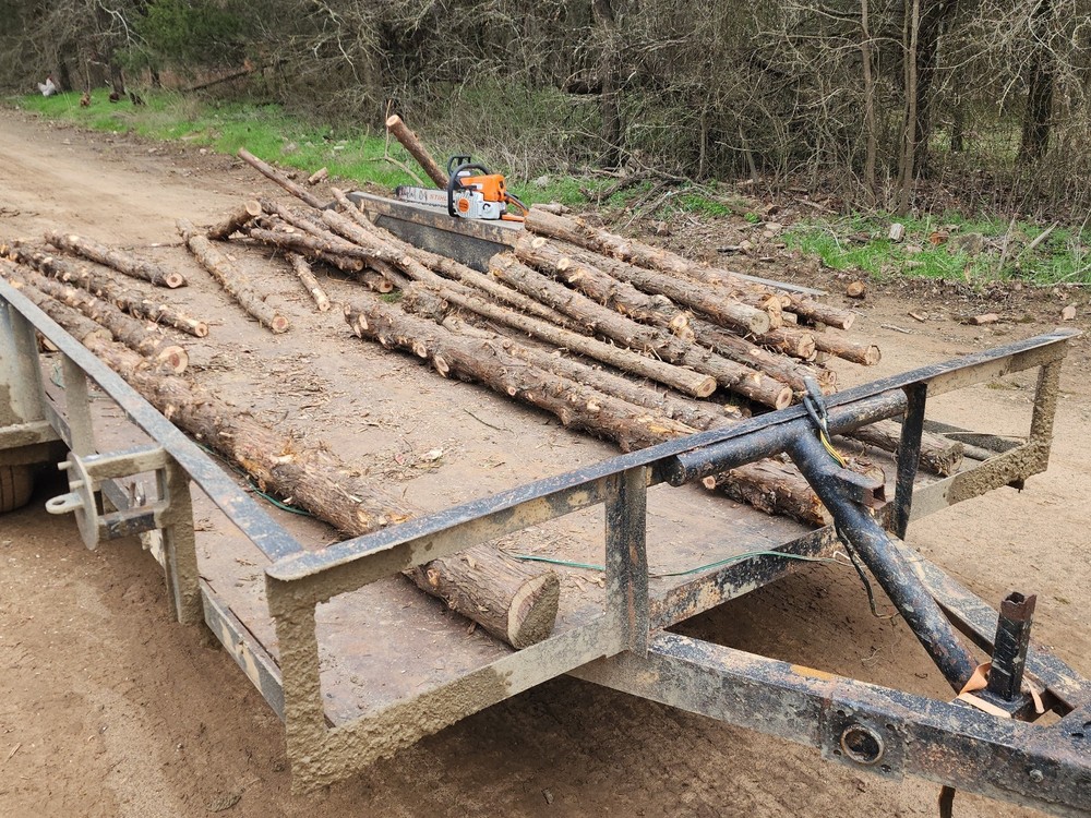 Red Cedar craft logs