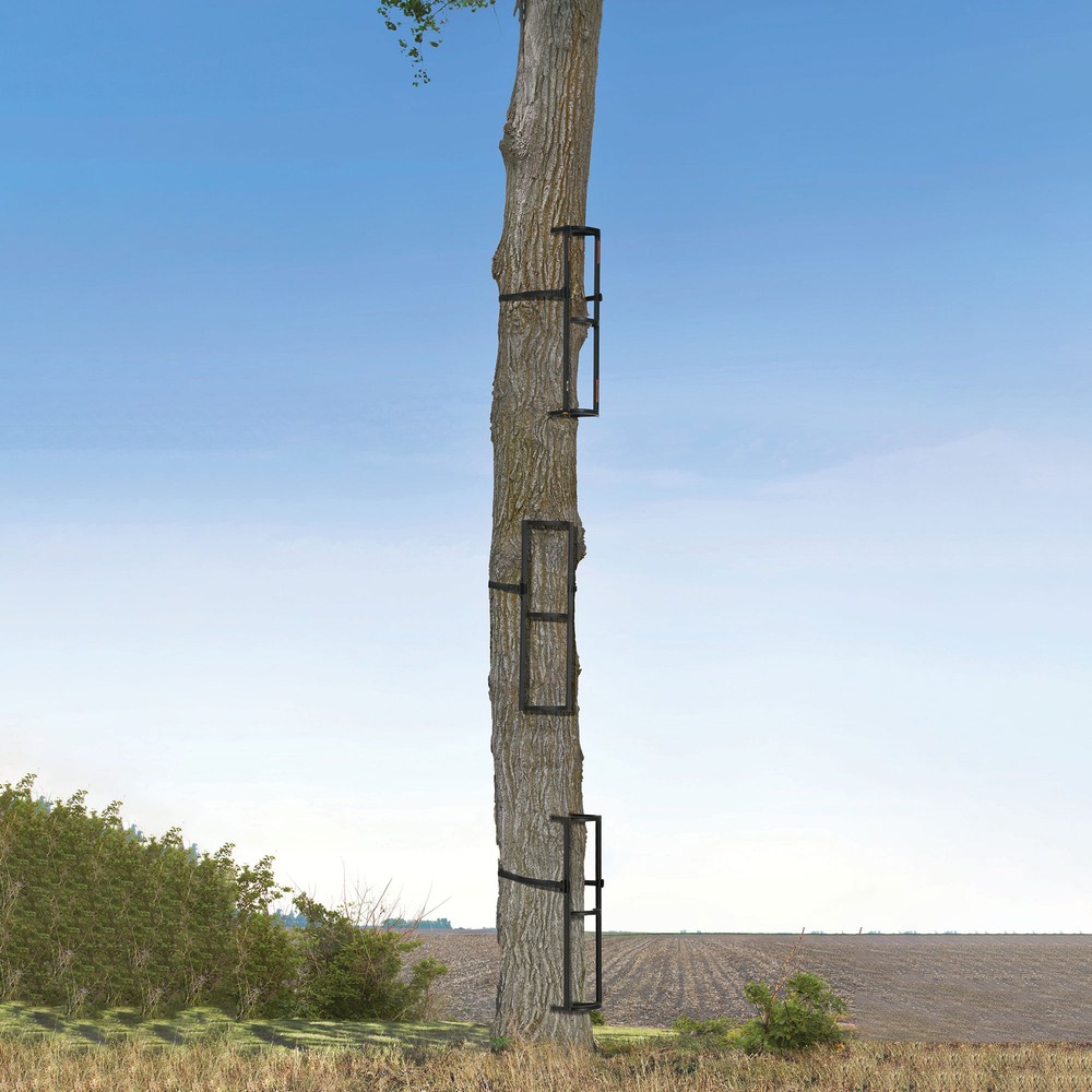 Muddy Outdoors Stagger Steps Packable Rock Solid Ladder System for Climbing