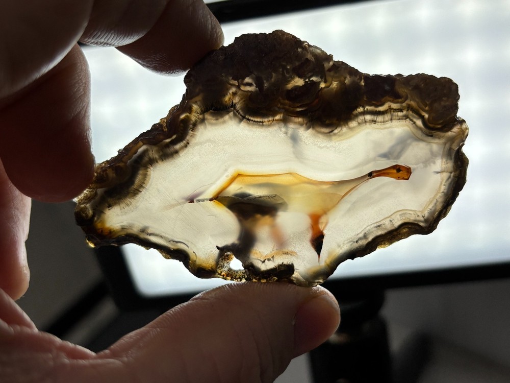 Turkish Agate Slabs Cabbing Lapidary Collecting Combo Ship Avail